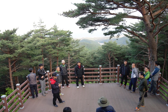 체육행사 실시